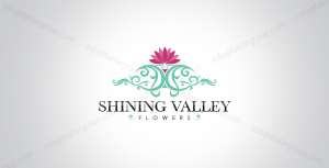 Shining Valley